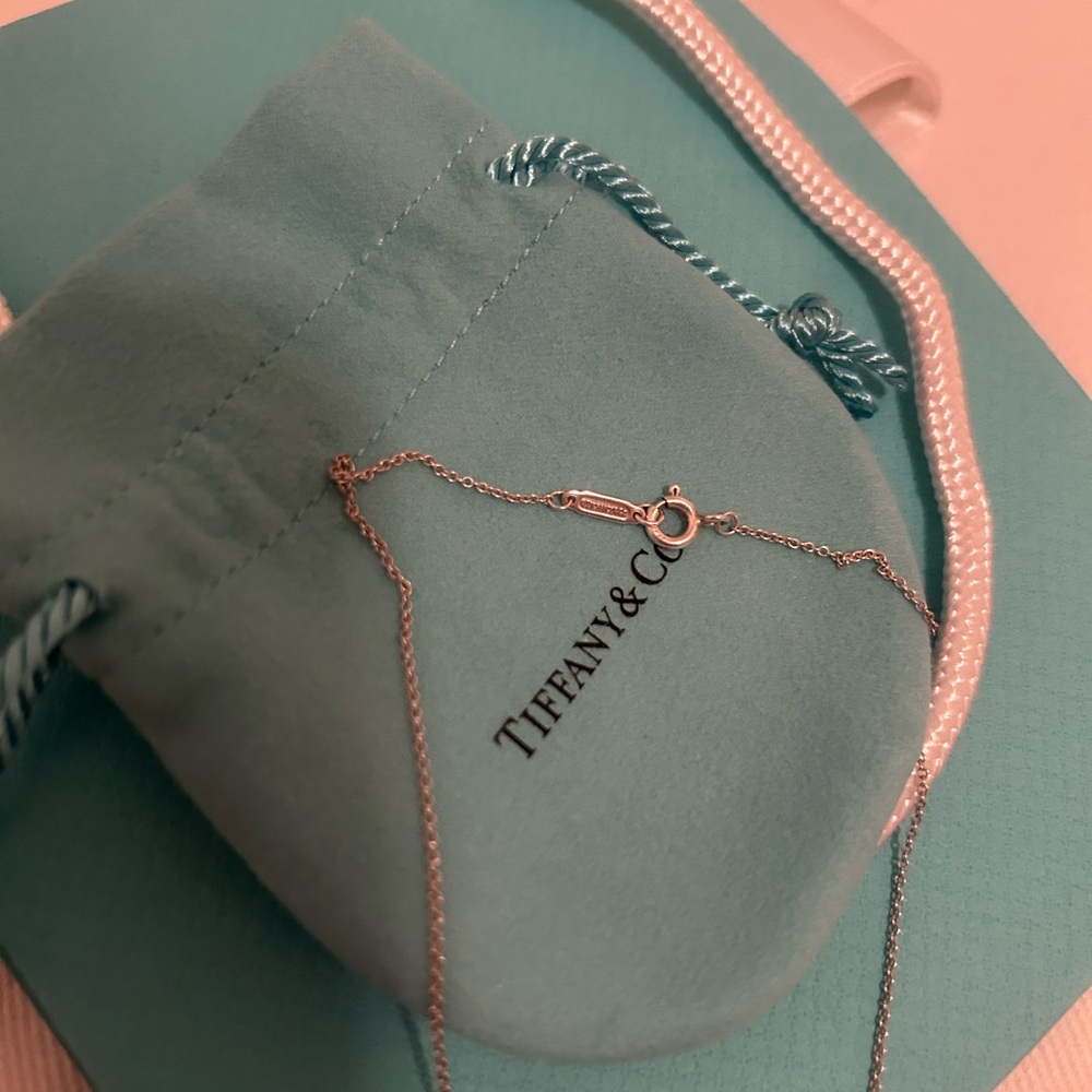 AUTHENTIC Tiffany & Co. 1837 Interlocking circle pendants. - Picture 5 of 11